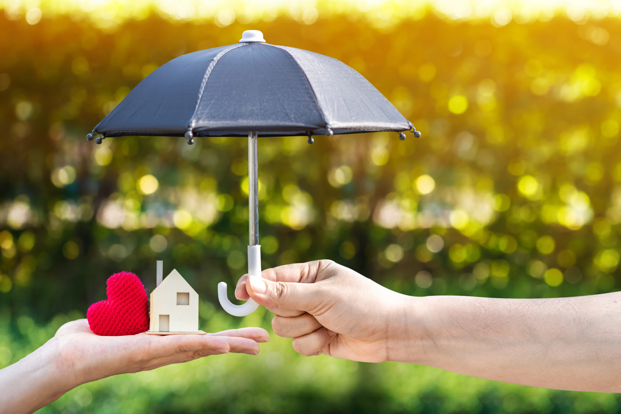 Understanding Estate Planning Costs in Arizona